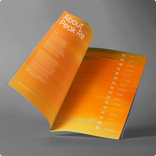 Usage Principles2
