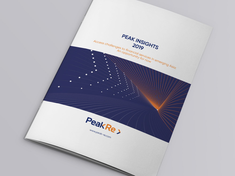 鼎睿再保险发布2019年《Peak Insights》分析报告