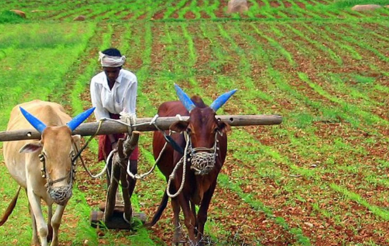 Unlocking opportunity in India