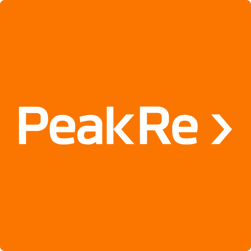 Peak Re Branding Logo 